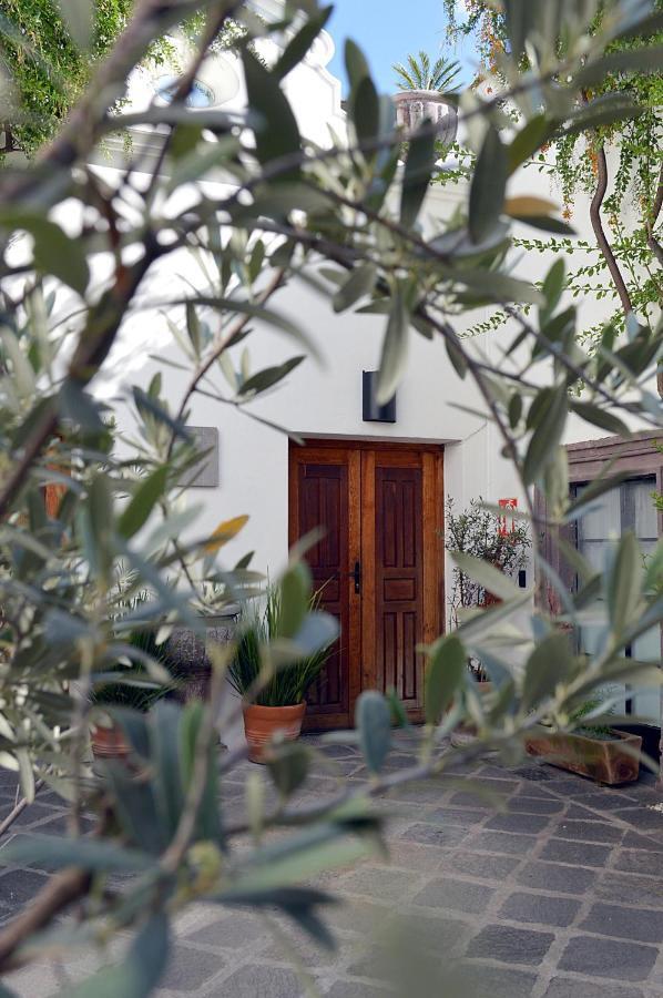 Casa de Los Olivos San Miguel de Allende Exterior foto